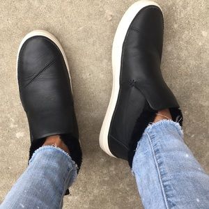 ❇️LOWEST ❇️TOMS PAXTON SLIP ON